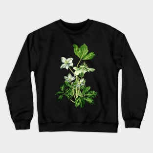 Helleborus niger Crewneck Sweatshirt